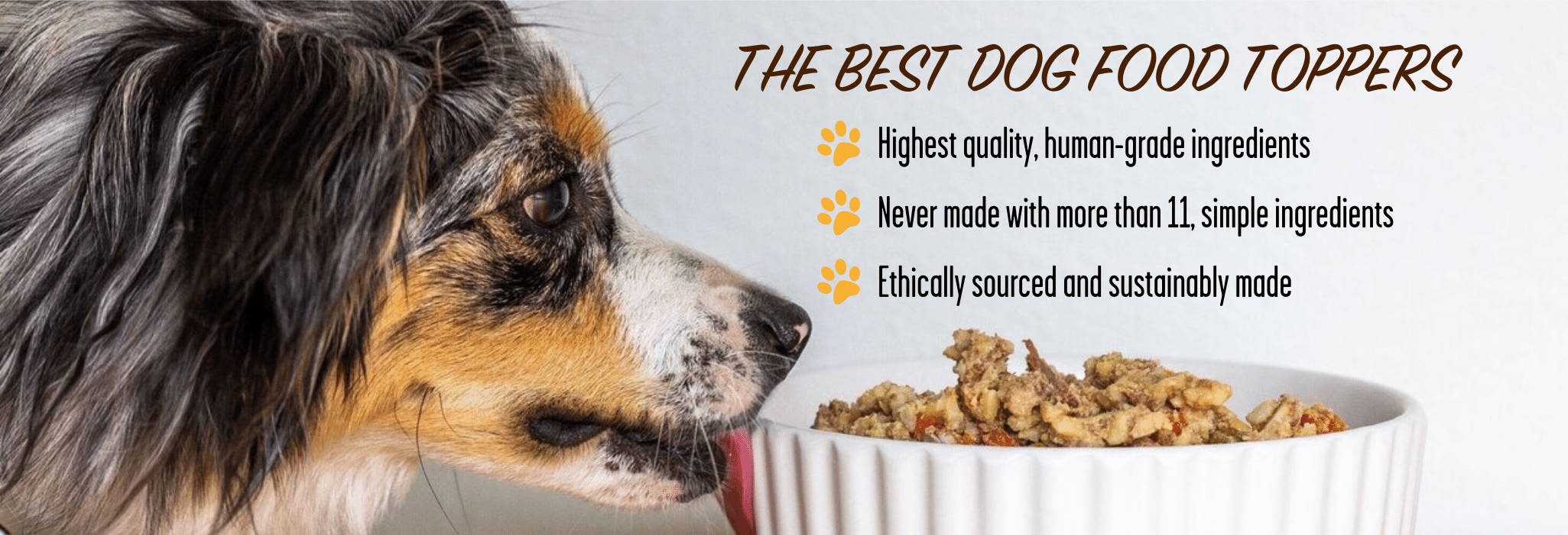 Best human grade food for dogs best sale